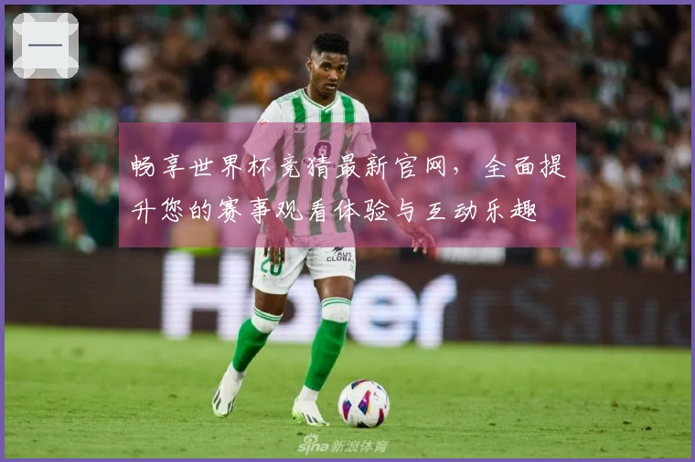 畅享世界杯竞猜最新官网,全面提升您的赛事观看体验与互动乐趣