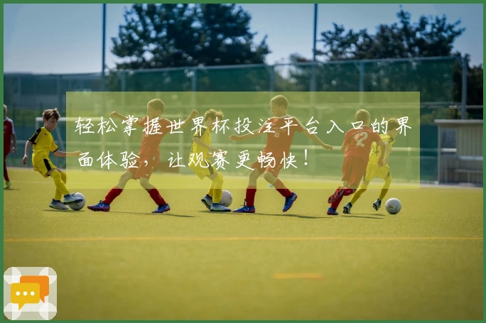 轻松掌握世界杯投注平台入口的界面体验，让观赛更畅快！