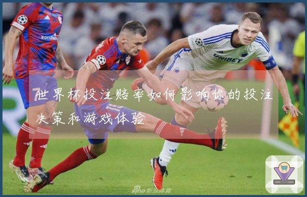 世界杯投注赔率如何影响你的投注决策和游戏体验