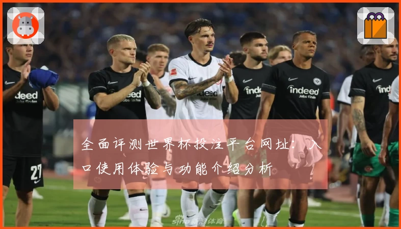 全面评测世界杯投注平台网址：入口使用体验与功能介绍分析