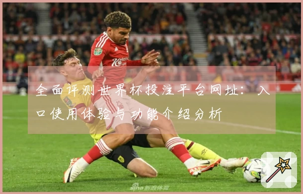 全面评测世界杯投注平台网址：入口使用体验与功能介绍分析
