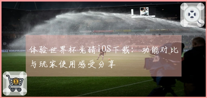 体验世界杯竞猜iOS下载：功能对比与玩家使用感受分享