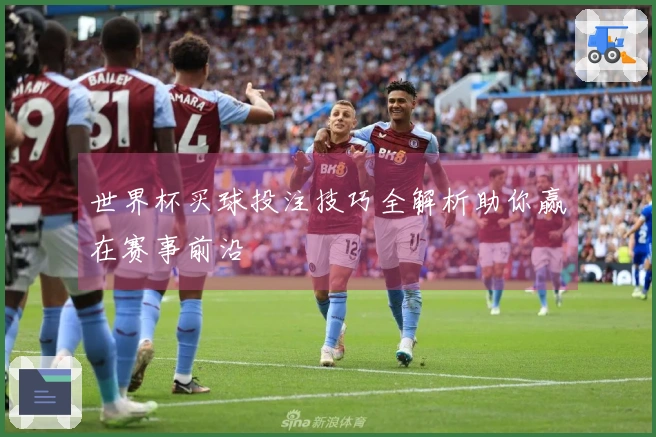 世界杯买球投注技巧全解析助你赢在赛事前沿