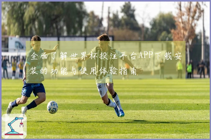 全面了解世界杯投注平台APP下载安装的功能与使用体验指南